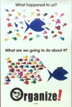 fish poster