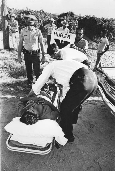 (1323) Cayento Esquival injured during the Coachella Strike (1323) Cayento Esquival injured during the Coachella Strike
