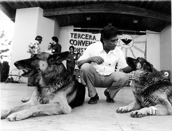 (216) Cesar Chavez, Dogs, c. mid 1970s (216) Cesar Chavez, Dogs, c. mid 1970s