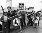 (225) Pickets, Safeway, California, 1973 (225) Pickets, Safeway, California, 1973