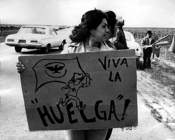 (240) Demonstration, Coachella Strike, Coachella Valeey, California, c. 1970s (240) Demonstration, Coachella Strike, Coachella Valeey, California, c. 1970s