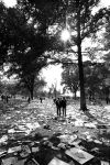 (25419) Civil Rights, Demonstrations, "March on Washington," 1963 (25419) Civil Rights, Demonstrations, "March on Washington," 1963