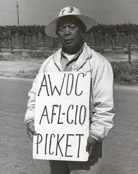 (256) Pickets, AWOC, Grape Strike, California, 1966 (256) Pickets, AWOC, Grape Strike, California, 1966