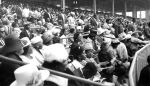 (25876) Civil Rights, Demonstrations; "Freedom Rally," Los Angeles, 1963 (25876) Civil Rights, Demonstrations; "Freedom Rally," Los Angeles, 1963