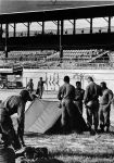 (26098) Riots, Rebellions, U.S. Army, Living Conditions, State Fairgrounds, 1967 (26098) Riots, Rebellions, U.S. Army, Living Conditions, State Fairgrounds, 1967
