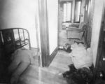 (26153) Purple Gang, Collingwood Massacre, Victims, Detroit, 1931 (26153) Purple Gang, Collingwood Massacre, Victims, Detroit, 1931