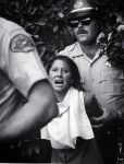 (263) Violence, Marta Rodriguez, Kern County Sheriff Department, 1973 (263) Violence, Marta Rodriguez, Kern County Sheriff Department, 1973