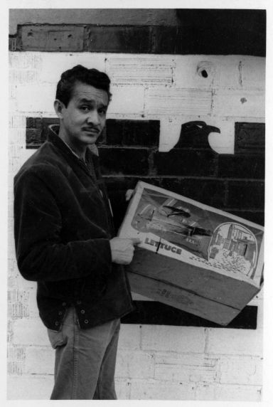 (26780) UFW, Padilla, Lettuce Boycott, 1970s (26780) UFW, Padilla, Lettuce Boycott, 1970s
