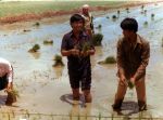 (269) Cesar Chavez, Philippines, 1977 (269) Cesar Chavez, Philippines, 1977