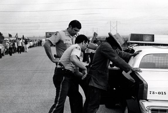 (278) A demonstrator is arrested during the Coachella Strike, 1973 (278) A demonstrator is arrested during the Coachella Strike, 1973