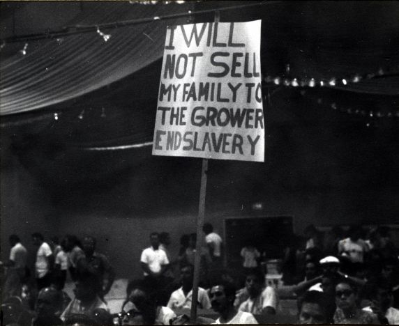 (279) A rally from the Coachella Strike, 1970 (279) A rally from the Coachella Strike, 1970