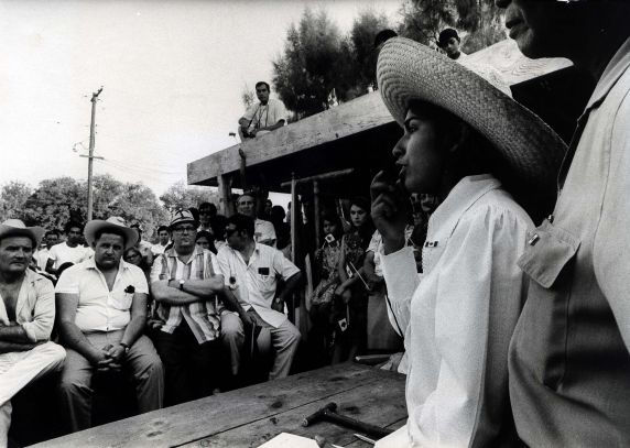 (281) Canadian UAW members in support of striking farm workers (281) Canadian UAW members in support of striking farm workers
