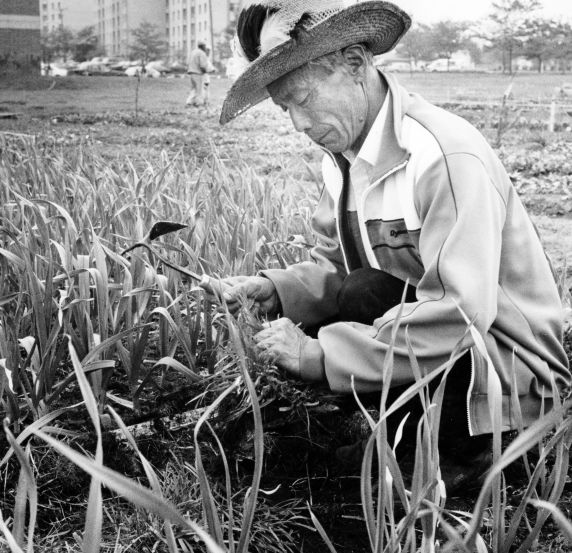 (28280) Ethnic Communities, Korean, Elder Care, Detroit, 1990 (28280) Ethnic Communities, Korean, Elder Care, Detroit, 1990