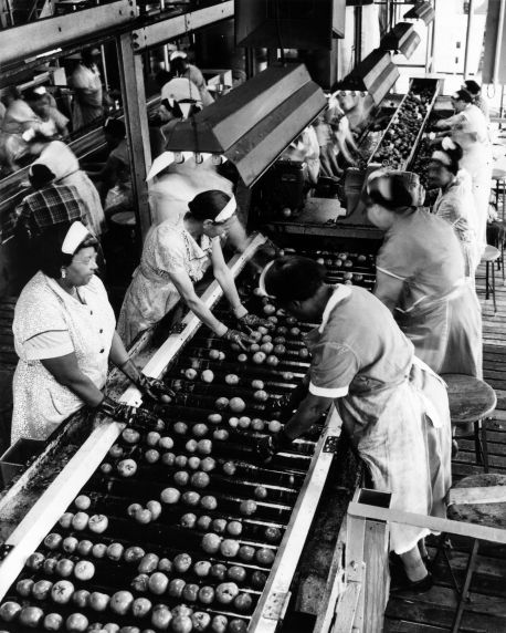 (29160) Food Service Employees, Tomato Canners (29160) Food Service Employees, Tomato Canners