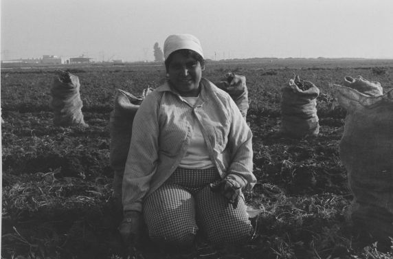 (335) A female farm worker in the field (335) A female farm worker in the field