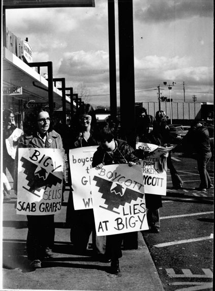 (3393) Big-Y store, pickets, Springfield, Massachusetts, 1974 (3393) Big-Y store, pickets, Springfield, Massachusetts, 1974