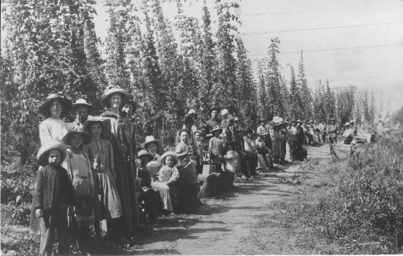 (4911) Hop pickers, Durst Ranch, Wheatland, California, 1913 (4911) Hop pickers, Durst Ranch, Wheatland, California, 1913