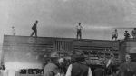 (5820) Deportation of IWW members, Box cars full of men being deported, 1917 (5820) Deportation of IWW members, Box cars full of men being deported, 1917
