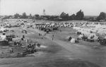 (5831) Durst Ranch, Hop pickers camp, Wheatland, California, 1913
