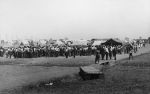 (5832) Durst Ranch, Hop Pickers in their camp on strike, Wheatland, California