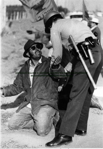 (5869) UFW picketer arrested at demonstration (5869) UFW picketer arrested at demonstration