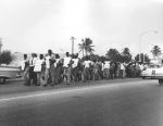 (7628) Miami Beach organizational strike (7628) Miami Beach organizational strike
