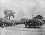 (DN_79585) Ethnic Communities, Irish, Neighborhoods, Businesses, Corktown, c. 1890 (DN_79585) Ethnic Communities, Irish, Neighborhoods, Businesses, Corktown, c. 1890