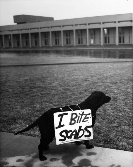 (978) MFT, strikes, Lake Michigan Community College, Benton Harbor, Michigan (978) MFT, strikes, Lake Michigan Community College, Benton Harbor, Michigan