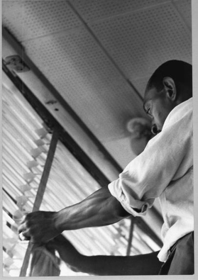 Local 82 Janitor Cleaning Blinds Local 82 Janitor Cleaning Blinds