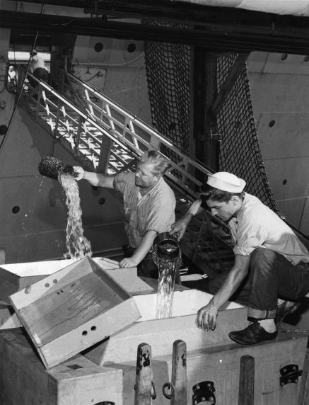 (9968) Aquarium Employees (9968) Aquarium Employees