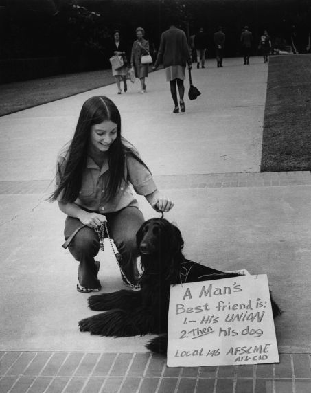 (7694) Dog protests, California (7694) Dog protests, California