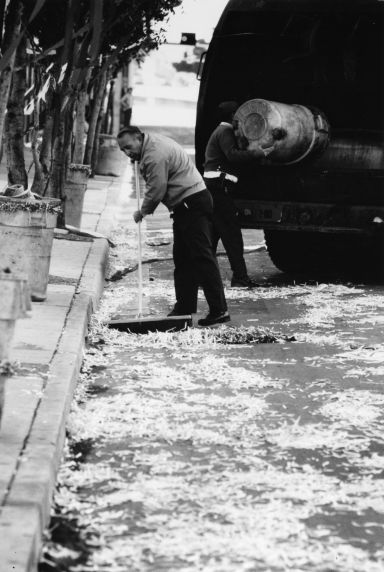 (10132) Sanitation Workers (10132) Sanitation Workers