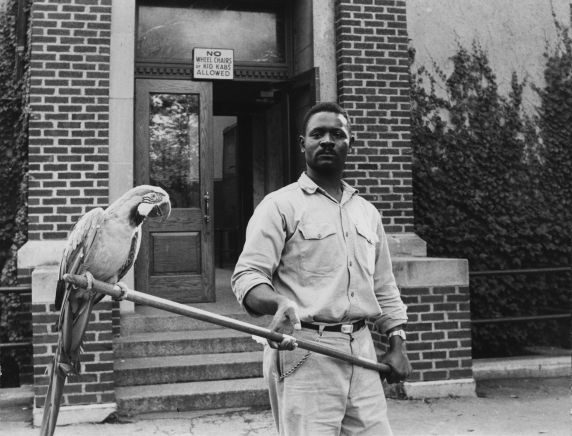 (10147) Zoo Employee (10147) Zoo Employee